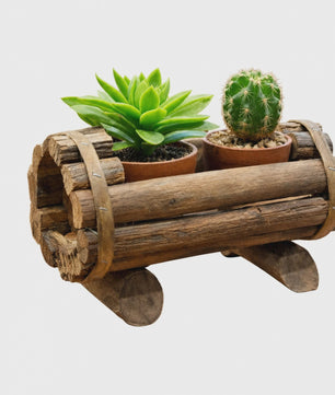 Rustieke Houten Plantenbak voor Succulenten & Cactussen - Handgemaakt Log Decor 20x12cm