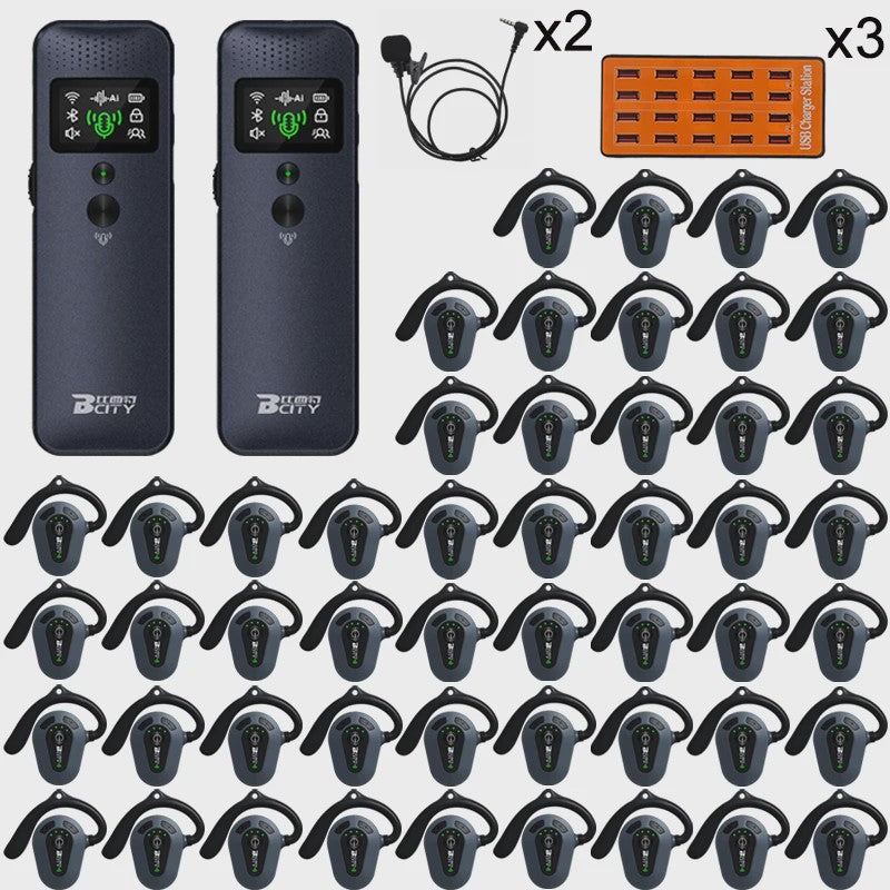Professioneel 2.4GHz Draadloos Tour Guide Systeem met Groene Laser Pointer en Audio Headset