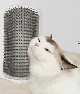 Katten Borstel Hoek - Zelfverzorging & Haarverwijdering voor Katten en Kittens
