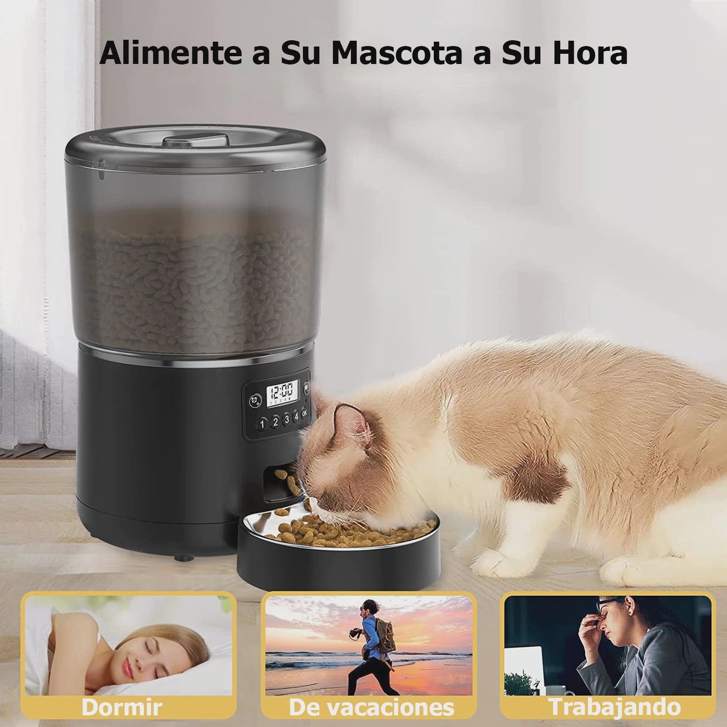 4L Automatische Voerbak voor Honden & Katten - Tijdsgestuurd & Gekwantificeerd Voeren