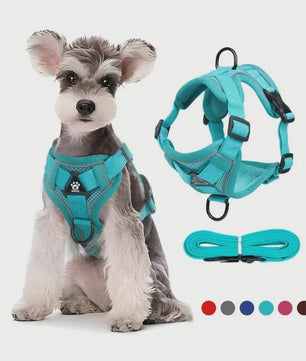 Verstelbaar Anti-Trek Hondentuig met Lijn - Reflecterend & Comfortabel voor Kleine Honden en Katten