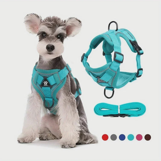 Verstelbaar Anti-Trek Hondentuig met Lijn - Reflecterend & Comfortabel voor Kleine Honden en Katten