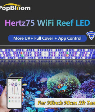 PopBloom Turing75 Marine LED Aquariumverlichting - 80-100cm, Full Spectrum, App-gestuurd