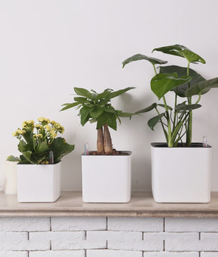 Self Watering Planter Self-watering Pot with Water Level Indicator White Self Watering Planter Modern Decorative Planter Pot