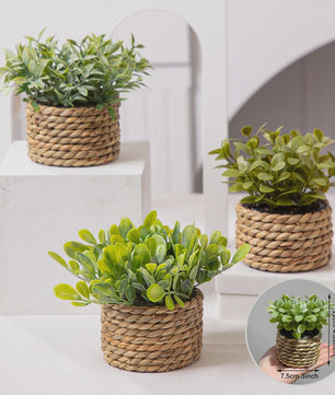Kunstplant Eucalyptus Gras in Geweven Pot - Groen, 11cm