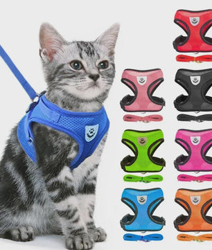 Verstelbaar Katten Tuigje met Lijn - Ademend Mesh Vest voor Kleine Honden & Katten