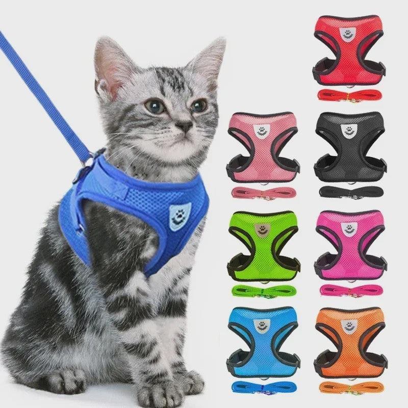 Verstelbaar Katten Tuigje met Lijn - Ademend Mesh Vest voor Kleine Honden & Katten
