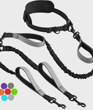 Verstelbare Dubbele Hondenriem met Schokdemper voor Handsfree Lopen en Trainen