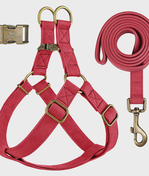 Luxe PU Leder Hondentuig met Leash en Gepersonaliseerde ID Gesp - Duurzaam voor Kleine & Middelgrote Honden