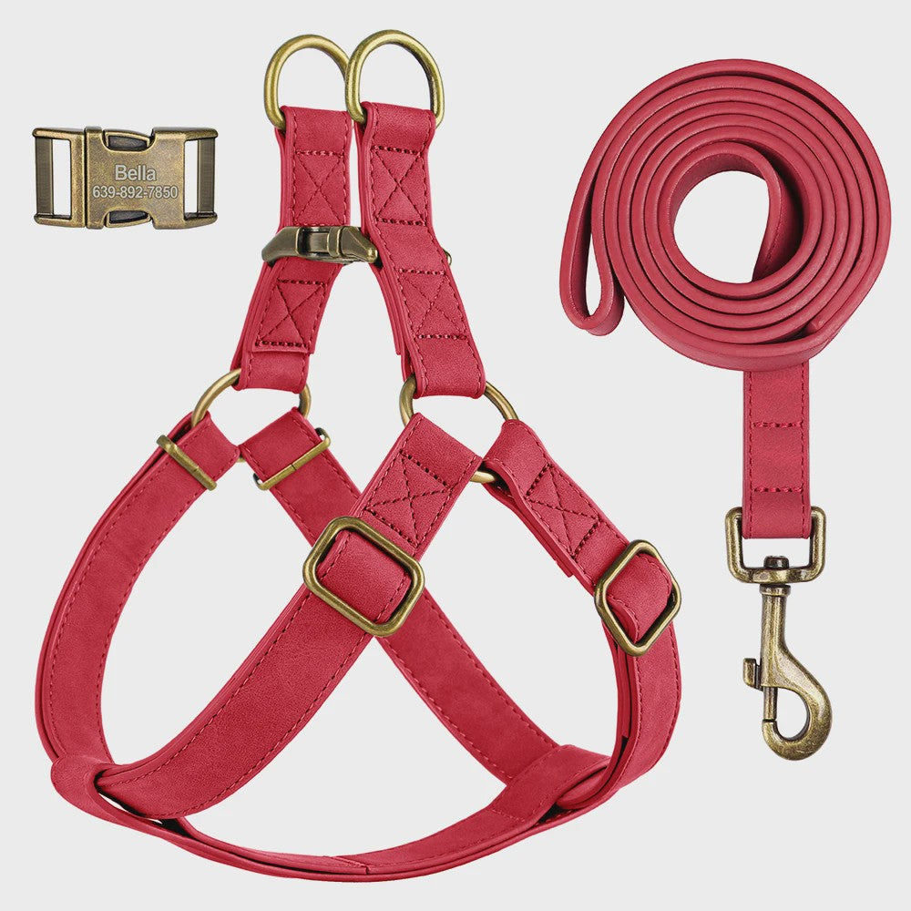 Luxe PU Leder Hondentuig met Leash en Gepersonaliseerde ID Gesp - Duurzaam voor Kleine & Middelgrote Honden
