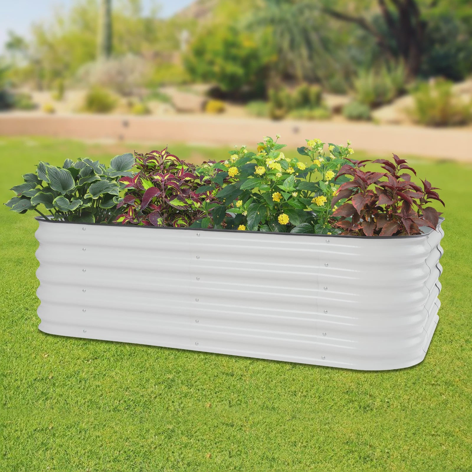 Verhoogd Plantenbed Verzinkt Staal Ovaal 195x60x43cm - Wit/Lichtgrijs