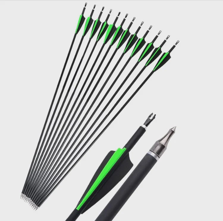 Set Carbon Pijlen SP500 - 6/12 Stuks - Verwisselbare Punts - Compound & Recurve Boog Schieten