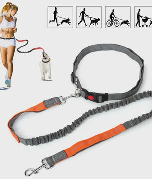 Handsfree Hondenriem met Verstelbare Tailleband - Ideaal voor Hardlopen, Joggen & Fietsen met Grote Honden