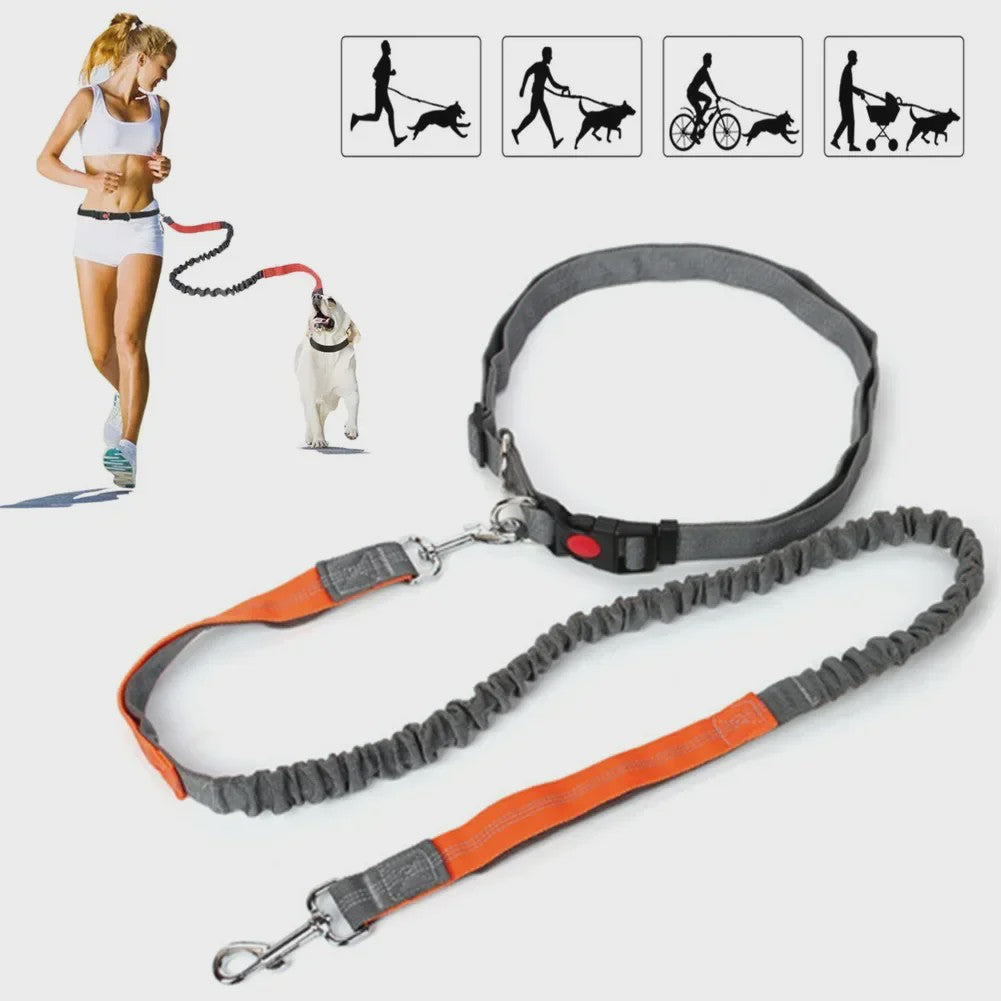 Handsfree Hondenriem met Verstelbare Tailleband - Ideaal voor Hardlopen, Joggen & Fietsen met Grote Honden