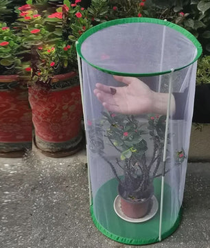 Draagbare Vlinder- en Insectenkooi - Observatie & Kweek Huis