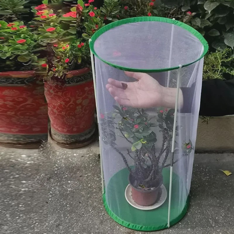 Draagbare Vlinder- en Insectenkooi - Observatie & Kweek Huis