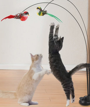 Interactieve Katten Speelstok met Dubbele Vogel en Sterke Zuignap