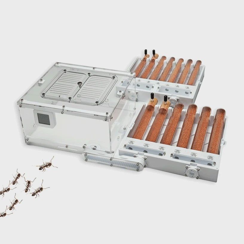 Ant Farm Nest SL256: 6-buizen 3D-geprint, oneindig stapelbaar mierenverblijf