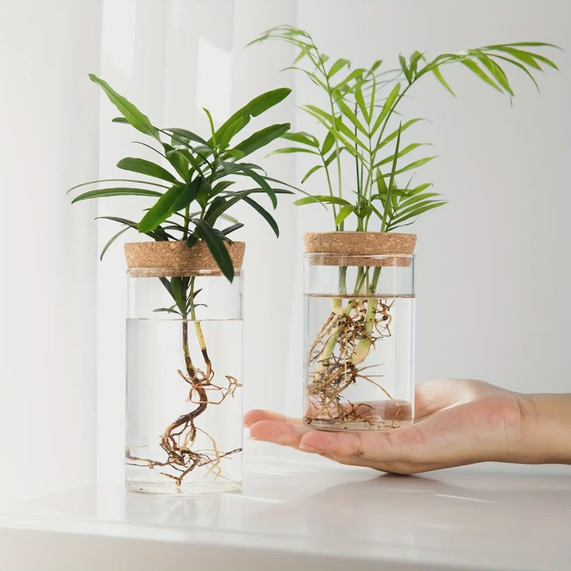 Glazen Hydroponics Vaas - Plantenstekken Station & Decoratie