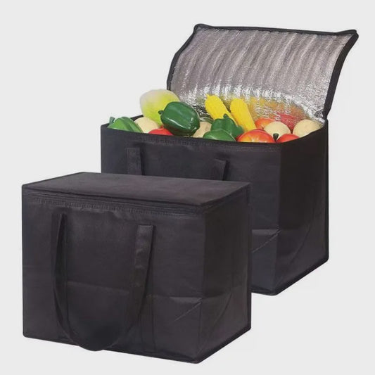 Homefish XL Koeltas 31L - Ideaal voor Lunch, Camping, Picknick & Dranken