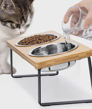 Verhoogde Kattenbakken met Houten Standaard - 15° Kantelbaar, 2 RVS Voerbakken voor Katten & Puppy's