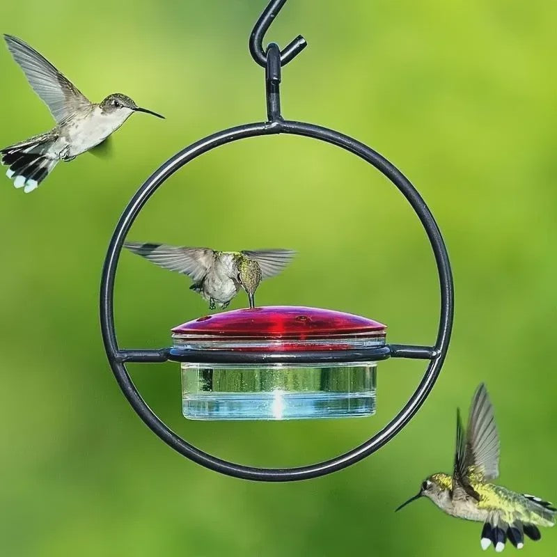 Hangende Kolibrivoederaar - Ronde Water Voeder voor Tuin en Balkon