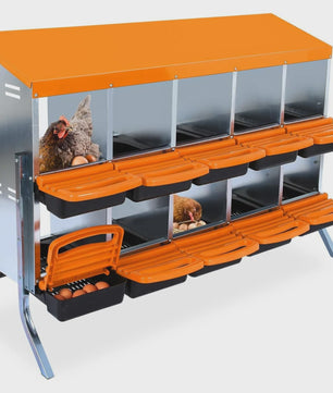 Stabiele Metalen Kippen Nestkast met Stand - 12 Vakken - Automatische Ei-verzameling