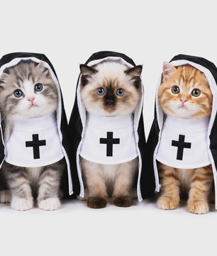 Grappig Nonnenkostuum voor Huisdieren - Halloween & Feest Outfit voor Hond & Kat