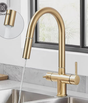 Keukenmengkraan met Uittrekbare Douchekop en Waterfilter - Goudkleurig