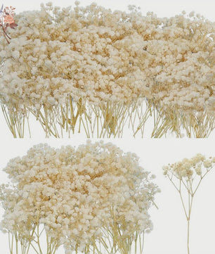 Gedroogde Mini Gipsenkruid Bloemen (100 stuks) - DIY Decoratie & Cadeau