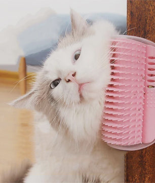 Zelfverzorgingsborstel voor Katten - Hoekkrabber met Kattenkruid voor Massage en Ontwollen