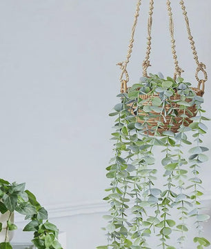 Kunst Eucalpytus Klimop Slager - Decoratieve Kunstplant voor Binnen & Buiten