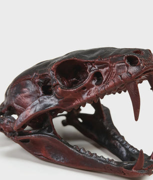 Angstaanjagend Cobra Schedel Standbeeld - Uniek Woondecoratie & Desktop Ornament