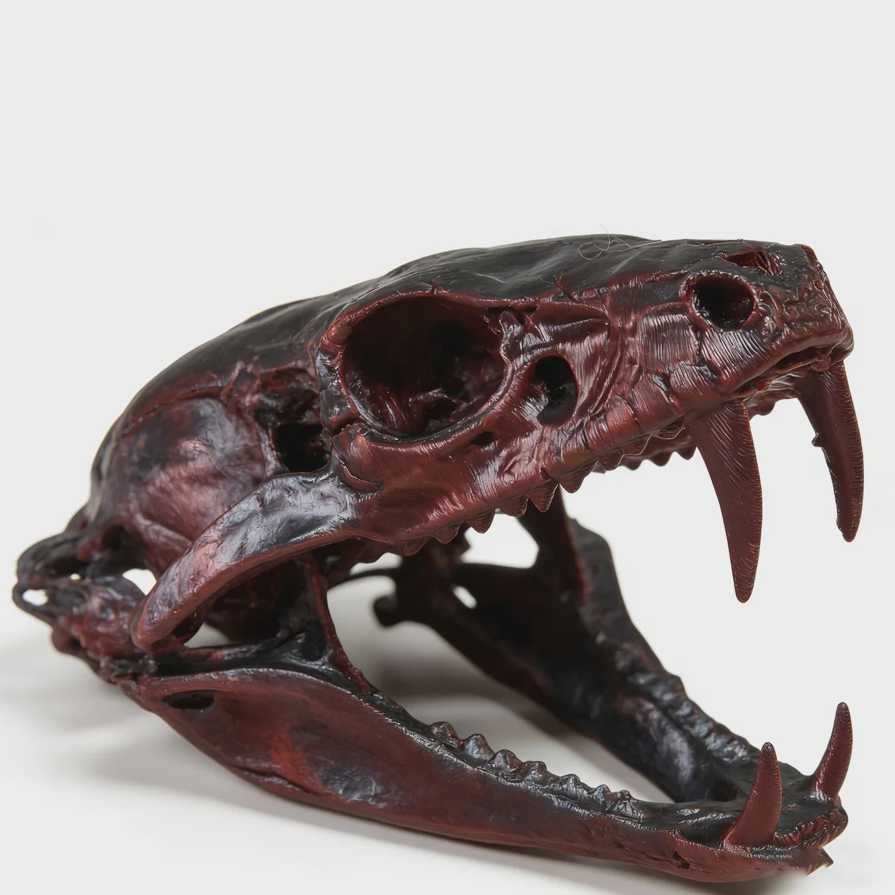 Angstaanjagend Cobra Schedel Standbeeld - Uniek Woondecoratie & Desktop Ornament