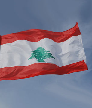 Libanese Vlag 90x150cm - Duurzaam Polyester voor Binnen en Buiten