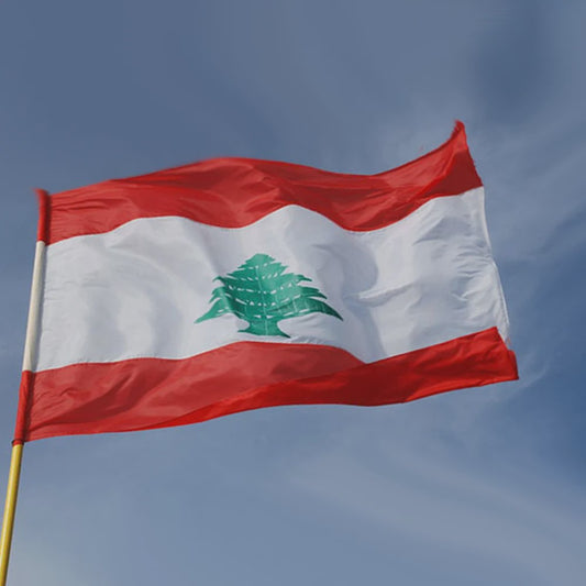 Libanese Vlag 90x150cm - Duurzaam Polyester voor Binnen en Buiten