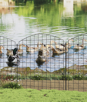 Decoratieve Tuinafsluiting Zwart - Dier-, Vijver- en Bloemenschutting