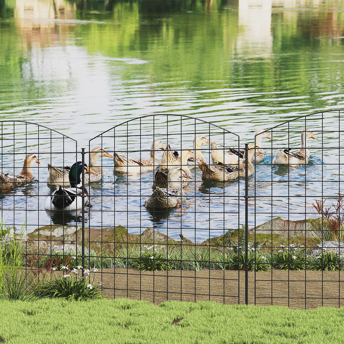 Decoratieve Tuinafsluiting Zwart - Dier-, Vijver- en Bloemenschutting