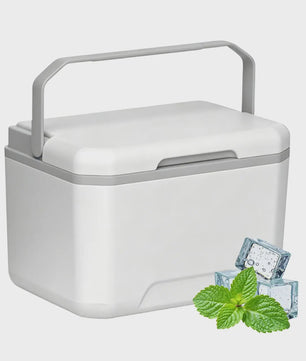 Draagbare Camping Koelbox 5L met Handvat - Geïsoleerd en Lekvrij