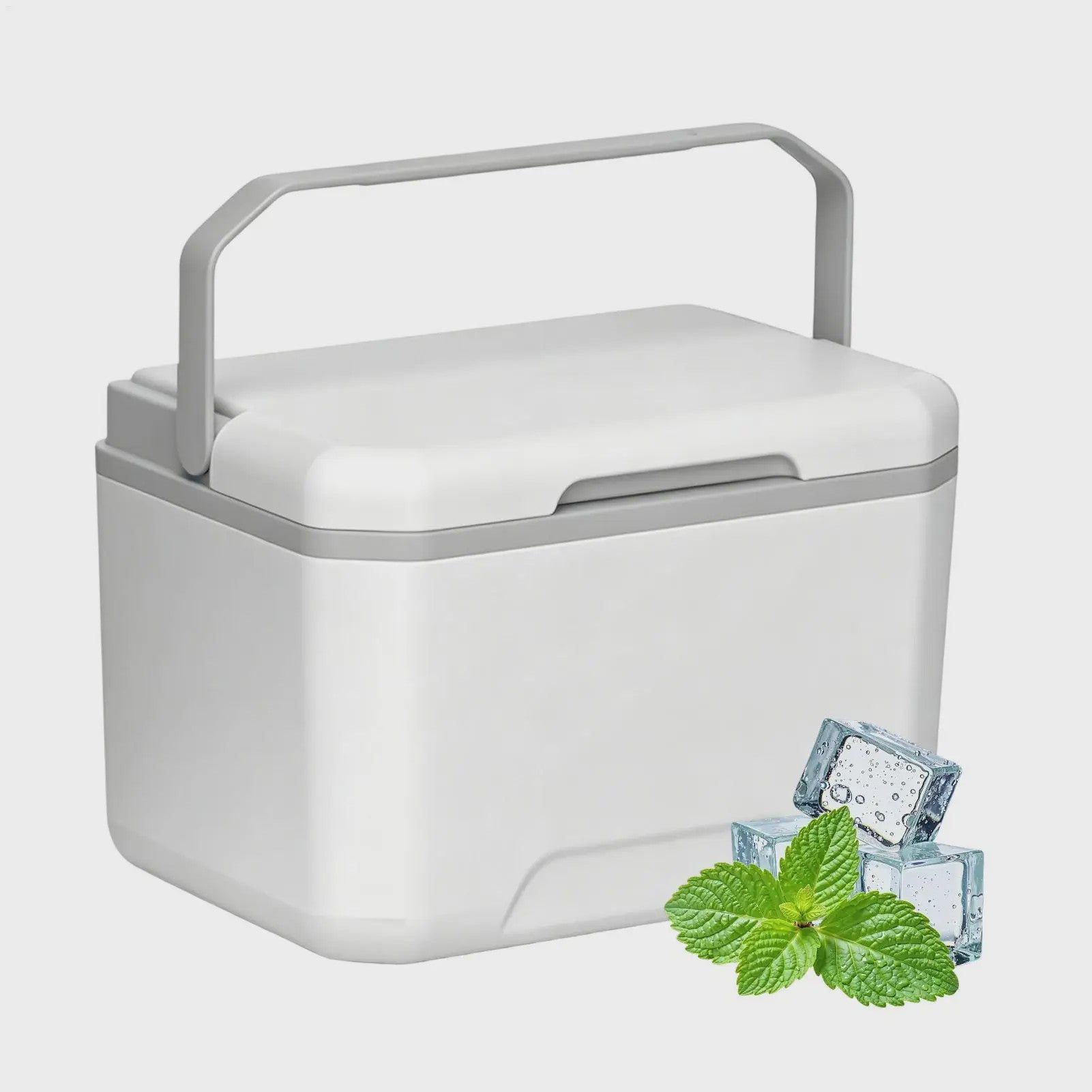 Draagbare Camping Koelbox 5L met Handvat - Geïsoleerd en Lekvrij