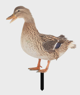 Levendige Acryl Eend Tuindecoratie met Paal - Vrolijke Tuinfiguur voor Buiten