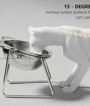 Verhoogde RVS Kattenbak met 15° Kantelontwerp - Gezond Eten, Nekbescherming & Onbreekbaar