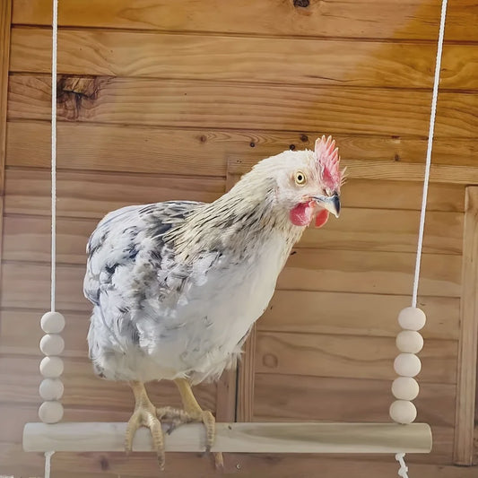 Houten Kip Schommel met Kralen - Klim- en Speeltoestel voor Kippen & Vogels
