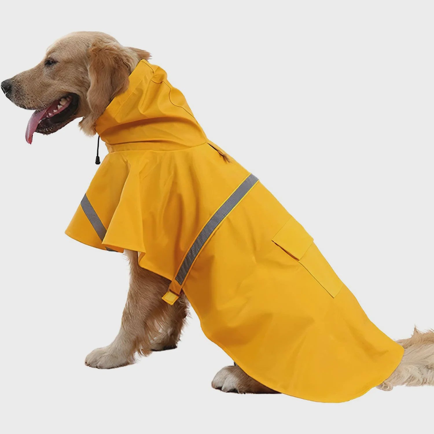 Modieuze Hond Regenjas met Capuchon - Stijlvol en Waterdicht
