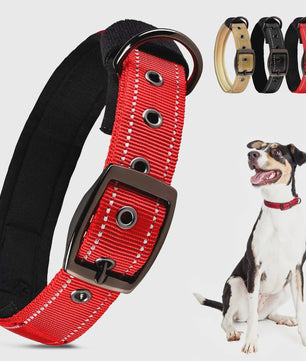Veilige Hondenhalsband met Reflecterende Strepen - Ontsnappingsbestendig Nylon, Zachte Vulling & Snel-Sluiting
