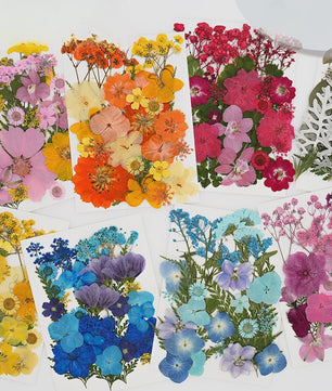 30 Stuks Gedroogde Persbloemen - Natuurlijke Bloemen & Bladeren voor Resin Art, Knutselen en Decoratie