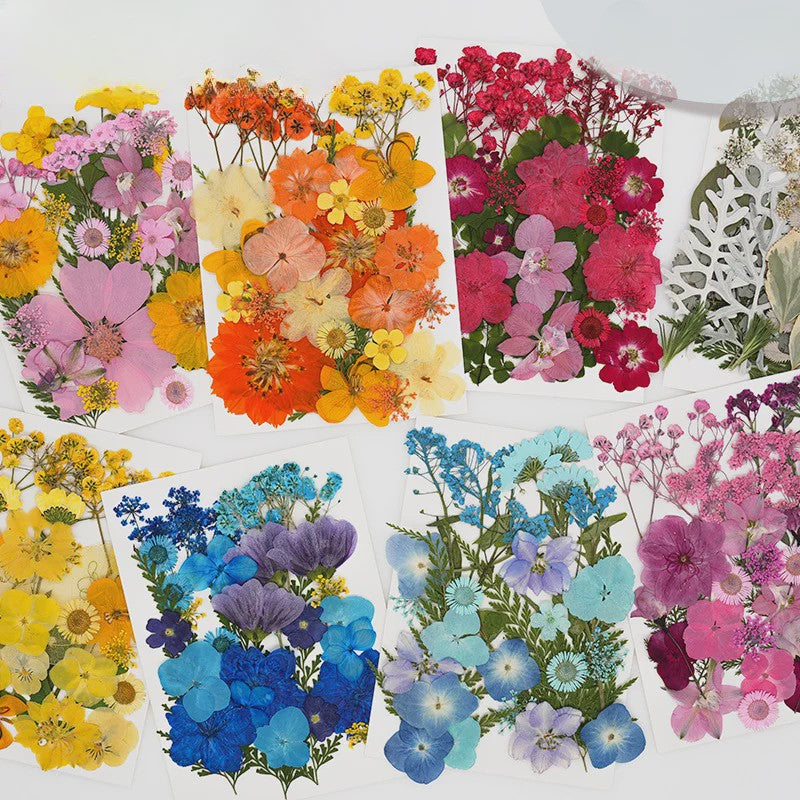 30 Stuks Gedroogde Persbloemen - Natuurlijke Bloemen & Bladeren voor Resin Art, Knutselen en Decoratie