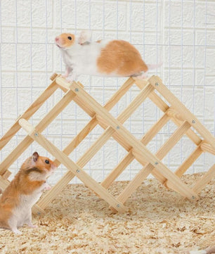 Houten Klimspeelgoed voor Hamsters en Kleine Dieren - Natuurlijk & Veilig