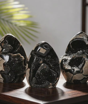 Septarian Draken Ei Kristal Geode - Zwart Kwarts voor Spirituele Heling & Decoratie