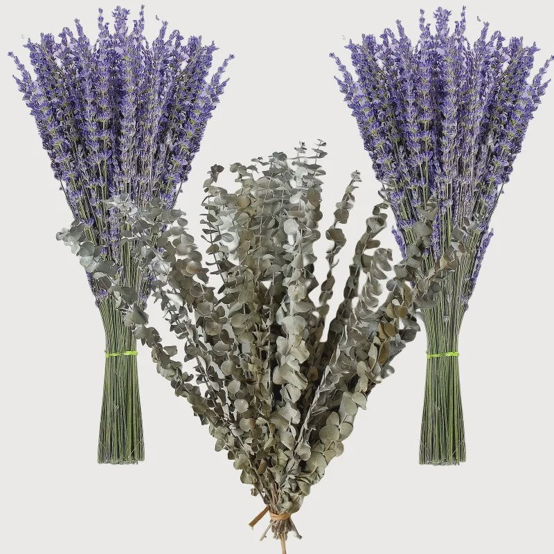 Natuurlijke Gedroogde Lavendel & Eucalyptus Set - 147 Stuks Decoratie